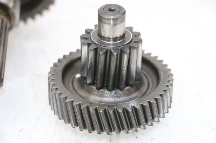 photo de INGRANAGGIO  DAELIM HISTORY 125 (2001 - 2002)