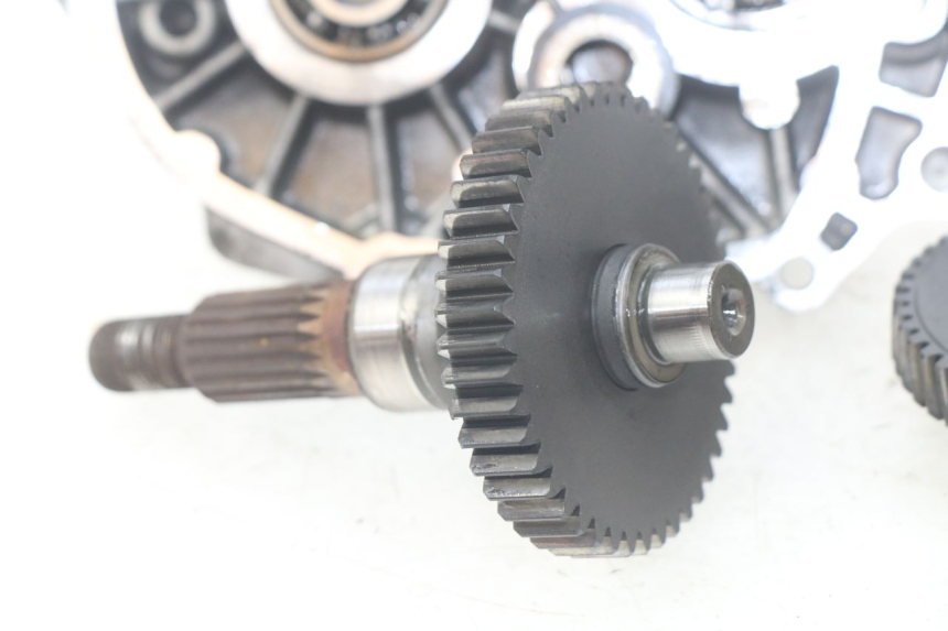 photo de TRASMISSIONE RUOTA PEUGEOT LUDIX 50 (2008 - 2017)