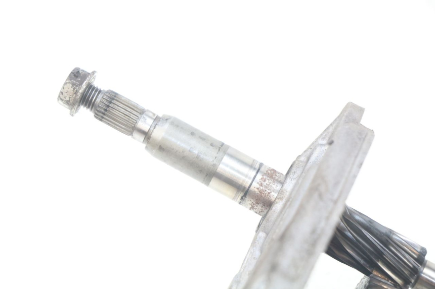 photo de TRASMISSIONE RUOTA PEUGEOT LUDIX 50 (2008 - 2017)