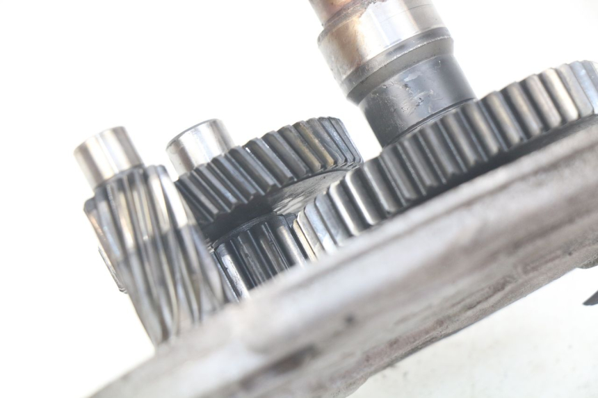 photo de TRASMISSIONE RUOTA PEUGEOT LUDIX 50 (2008 - 2017)