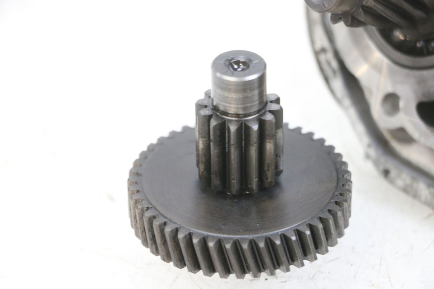 photo de TRASMISSIONE RUOTA PEUGEOT LUDIX 50 (2008 - 2017) - Caratteristiche distintive