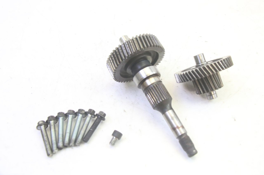 photo de TRASMISSIONE RUOTA PIAGGIO MP3 RL 250 (2007 - 2010) - Vista principale