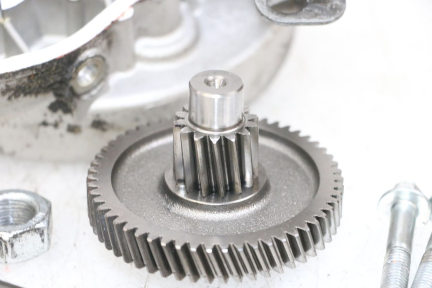 photo de INGRANAGGIO  PIAGGIO NEW TYPHOON 50 (2018 - 2021) - Panoramica del profilo