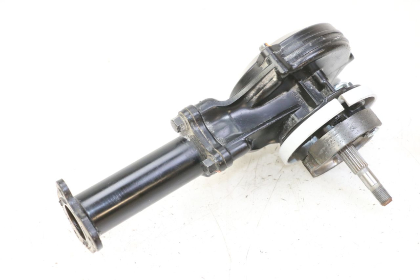 photo de TRASMISSIONE RUOTA YAMAHA PW 50 (1984 - 2020)