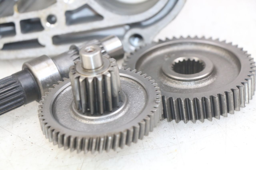 photo de TRASMISSIONE RUOTA TNT MOTOR ROMA 10' 4T 50 (2019 - 2022)