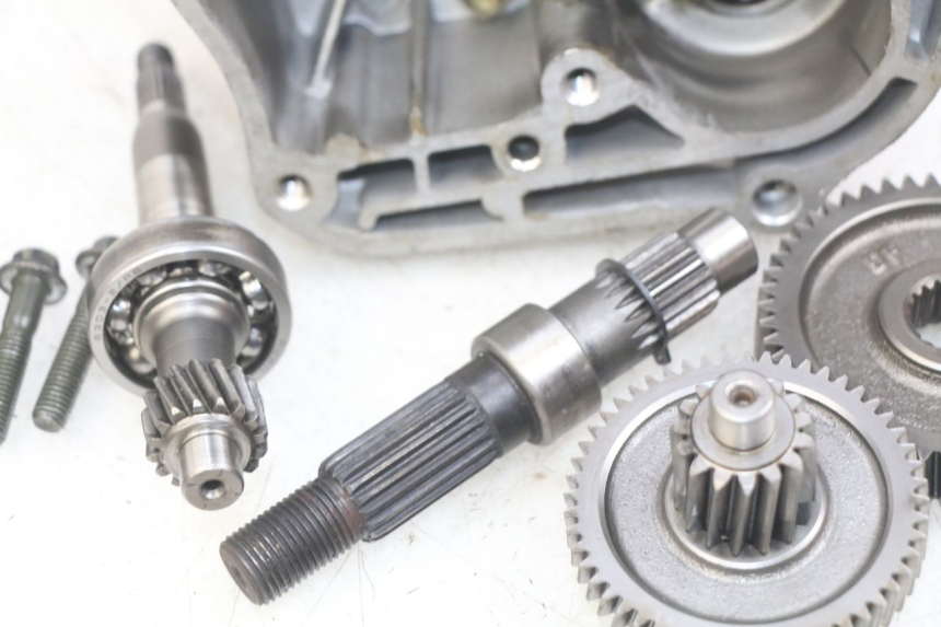 photo de TRASMISSIONE RUOTA TNT MOTOR ROMA 10' 4T 50 (2019 - 2022)