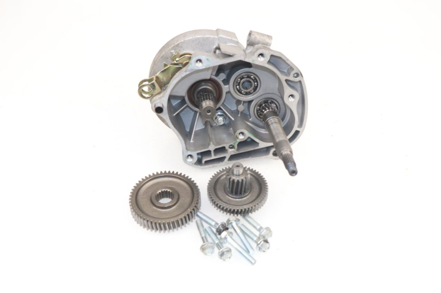 photo de Trasmissione ruota JM MOTORS VIPER 4T 50 (2015 - 2022)