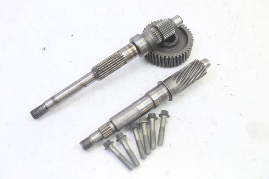 photo de TRASMISSIONE RUOTA YAMAHA XMAX X-MAX 125 (2006 - 2009)