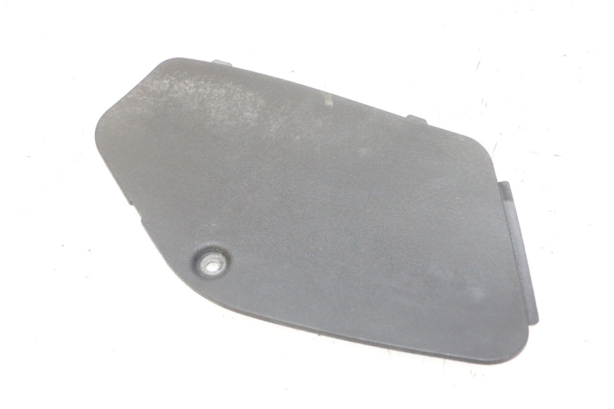 photo de SPORTELLO DESTRA PIAGGIO MP3 RL 250 (2007 - 2010)