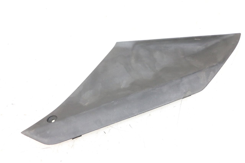 photo de SPORTELLO SINISTRO PEUGEOT GEOPOLIS RS 125 (2007 - 2009)