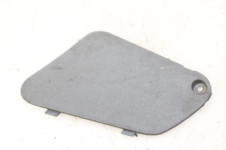 photo de SPORTA DI ISPEZIONE SINISTRA PIAGGIO X9 EVOLUTION 125 (2003 - 2007)