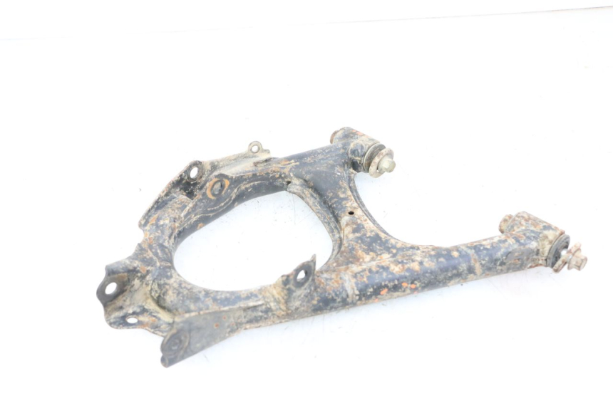 photo de BRACCIO OSCILLANTE POSTERIORE YAMAHA YFM GRIZZLY 550 (2008 - 2015)