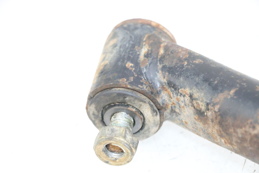 photo de BRACCIO OSCILLANTE POSTERIORE YAMAHA YFM GRIZZLY 550 (2008 - 2015)