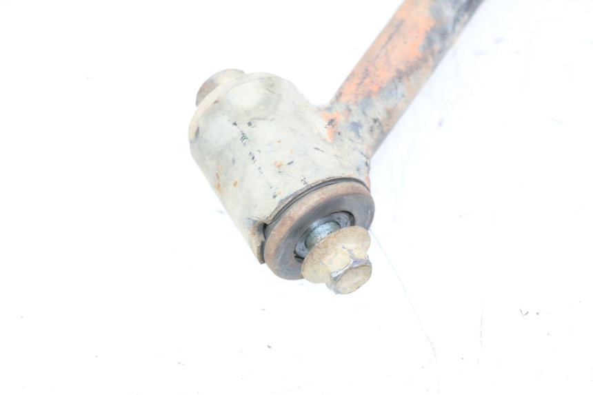 photo de BRACCIO OSCILLANTE POSTERIORE YAMAHA YFM GRIZZLY 550 (2008 - 2015)