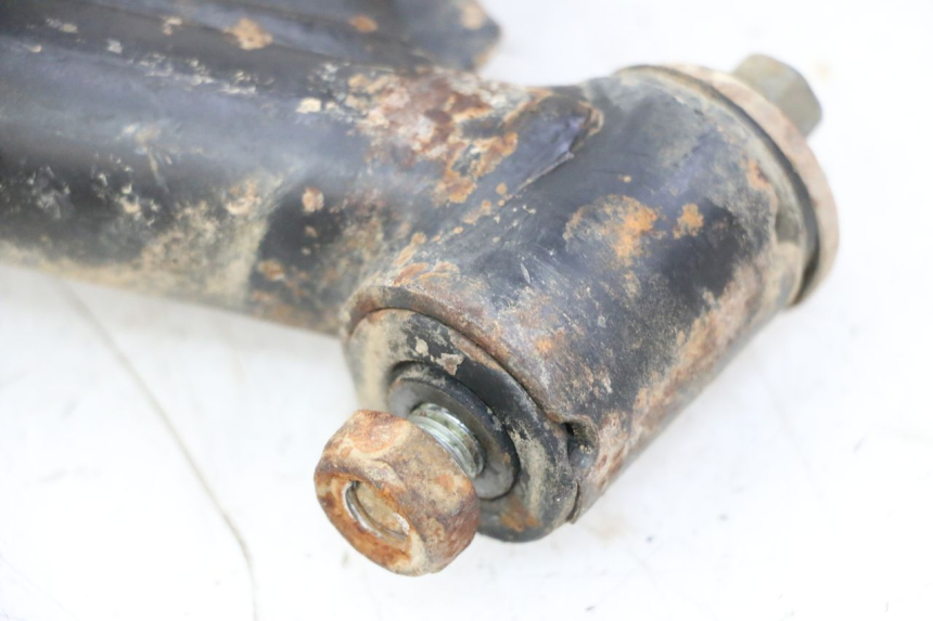 photo de BRACCIO OSCILLANTE POSTERIORE YAMAHA YFM GRIZZLY 550 (2008 - 2015)