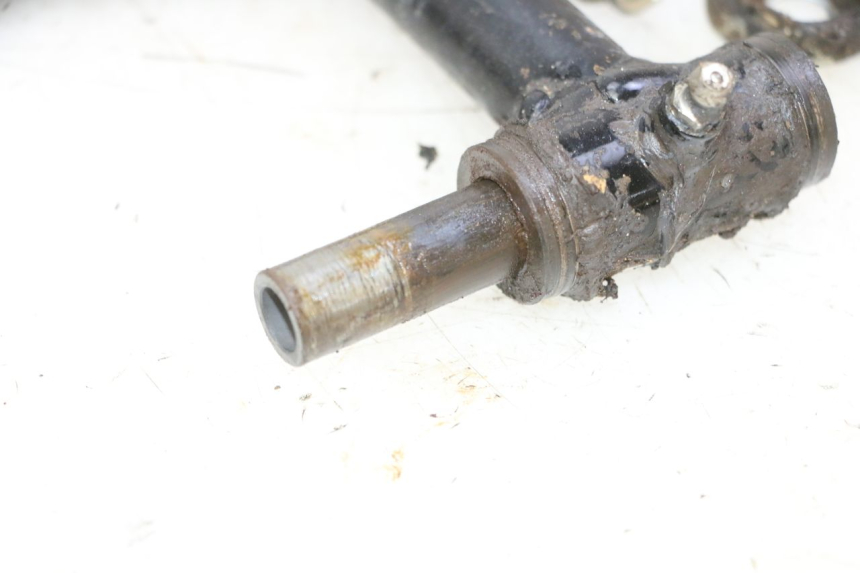 photo de BRACCIO OSCILLANTE ANTERIORE YAMAHA YFM R RAPTOR 250 (2008 - 2014)