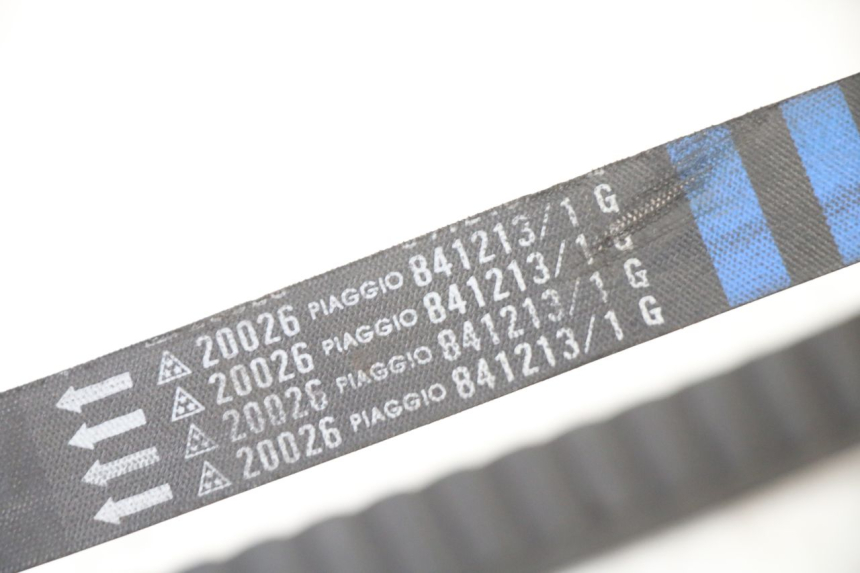 photo de VARIATORE APRILIA ATLANTIC 125 (2003 - 2009)