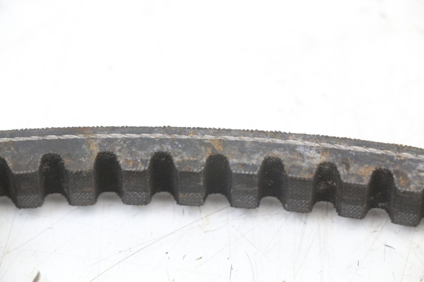 photo de VARIATORE TNT MOTOR GRIDO 2T 50 (2010 - 2019) - Dettagli dei punti di fissaggio