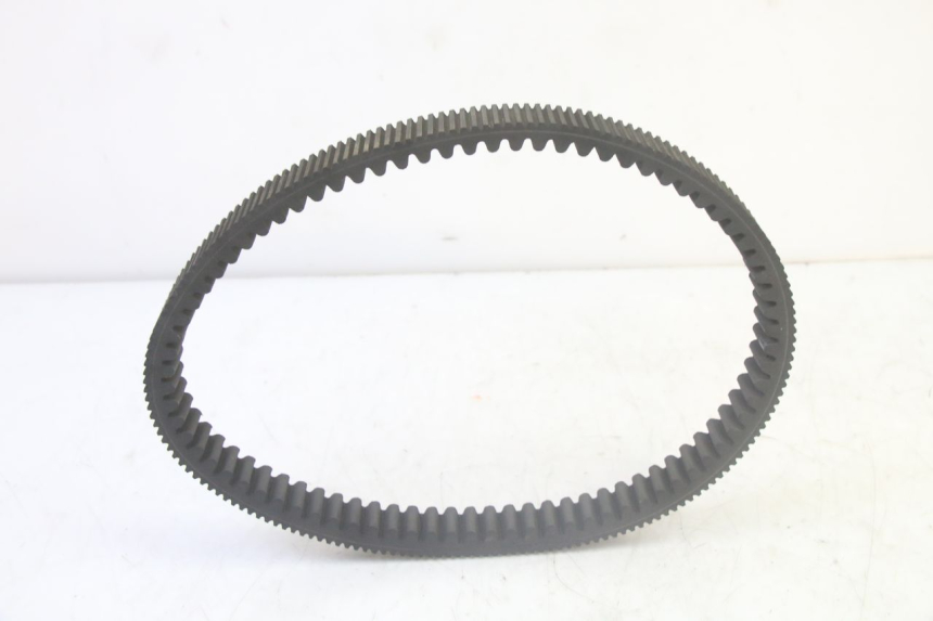 photo de VARIATORE YAMAHA YFM GRIZZLY 550 (2008 - 2015)