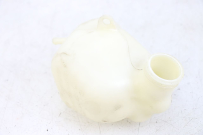 photo de VASO ESPANSIONE PEUGEOT GEOPOLIS RS 125 (2007 - 2009)