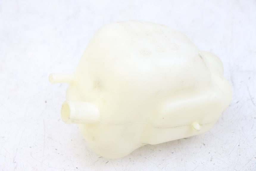 photo de VASO ESPANSIONE PEUGEOT GEOPOLIS RS 125 (2007 - 2009)