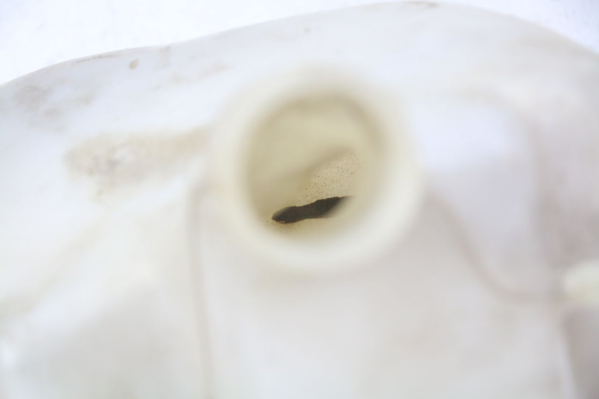 photo de VASO DI ESPANSIONE GILERA NEXUS 125 (2009 - 2013)