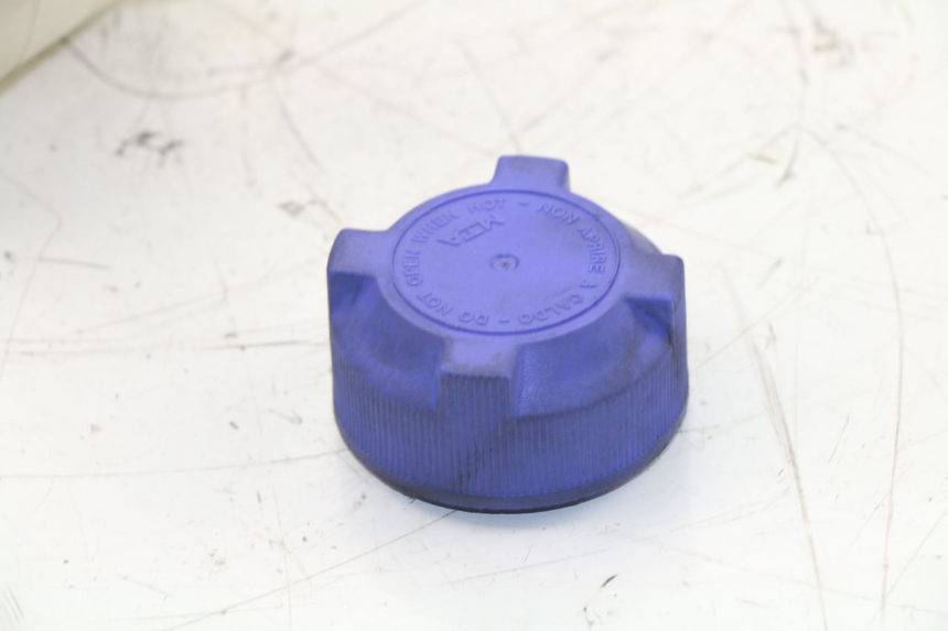 photo de Vaso di espansione PEUGEOT SATELIS 125 (2013 - 2018)