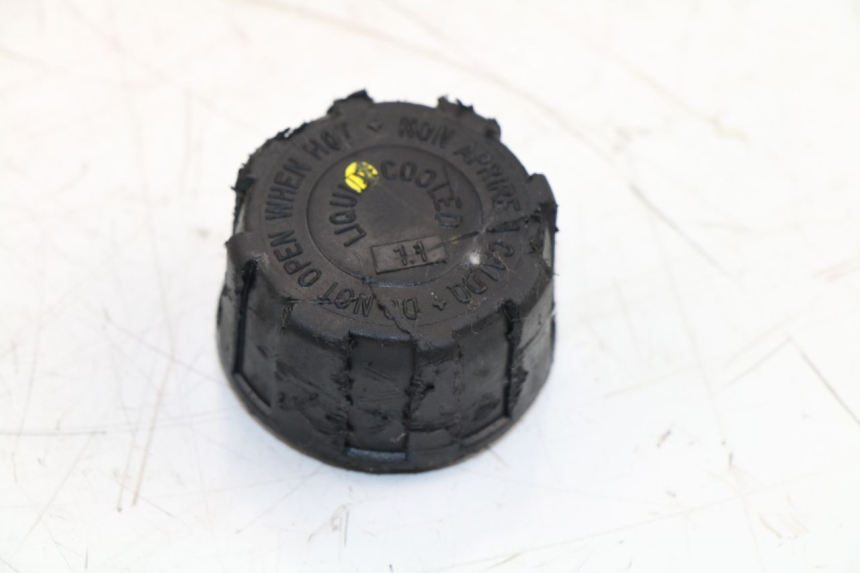 photo de VASO DI ESPANSIONE PIAGGIO MP3 500 (2011 - 2015)