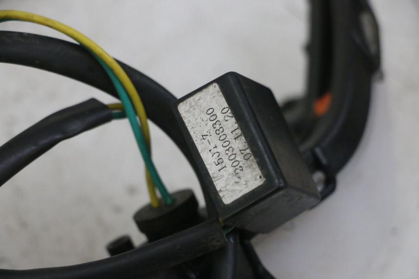 photo de VEILLEUSE PEUGEOT KISBEE 4T 50 (2018 - 2022)