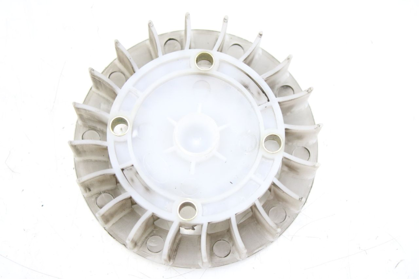 photo de VENTILATORE JM MOTORS EVOLIS 4T 50 (2018 - 2022)