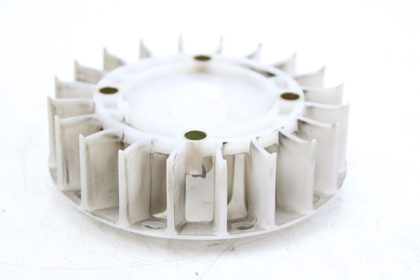 photo de VENTILATORE JM MOTORS EVOLIS 4T 50 (2018 - 2022)