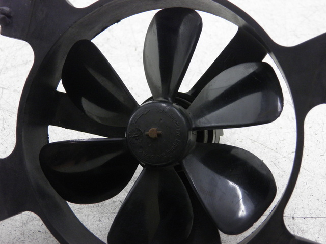 photo de VENTILATORE PEUGEOT ELYSEO 125 (1999 - 2004)