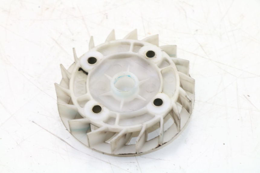photo de VENTILATORE PEUGEOT TWEET 4T 50 (2010 - 2014)