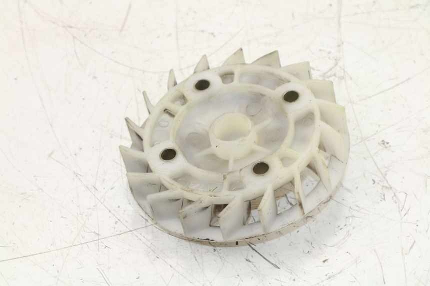 photo de VENTILATORE PEUGEOT TWEET 4T 50 (2010 - 2014)