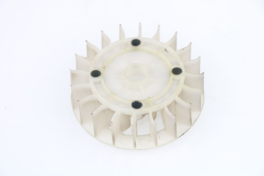 photo de VENTILATORE BAOTIAN TRAVEL SPIRIT 50 (2010 - 2012)