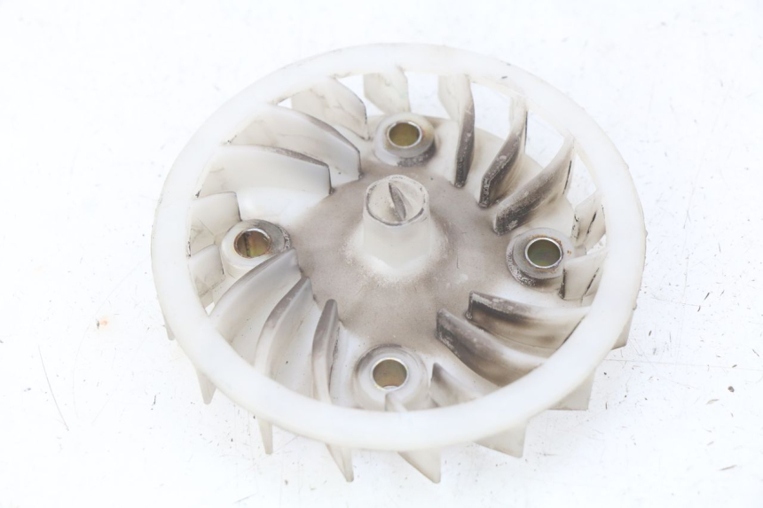 photo de VENTILATORE PEUGEOT TWEET ACTIVE 4T 50 (2018 - 2022)