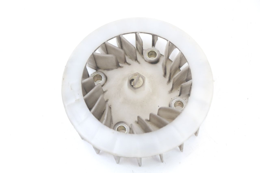 photo de VENTOLA BEELINE VELOCE 4T 50 (2011 - 2020)
