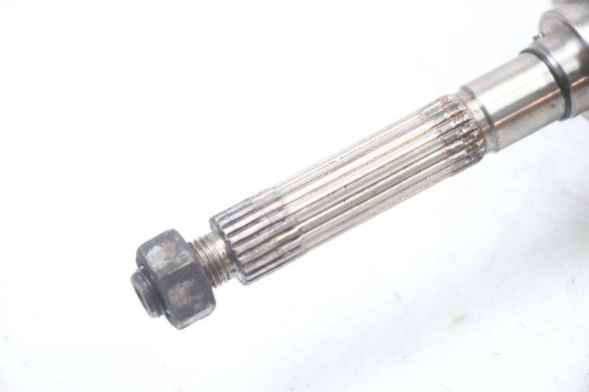 photo de ALBERO MOTORE GILERA NEXUS 300 (2008 - 2013)