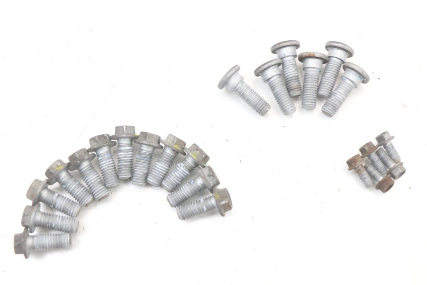 photo de BULLONE DEL DISCO DEL FRENO MOTO GUZZI NORGE 8V GT 1200 (2011 - 2016)