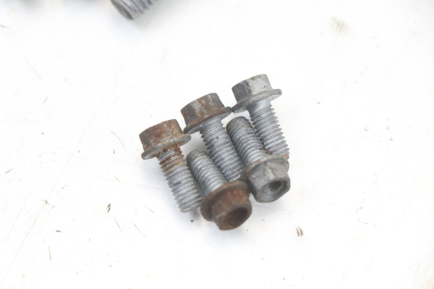 photo de BULLONE DEL DISCO DEL FRENO MOTO GUZZI NORGE 8V GT 1200 (2011 - 2016)