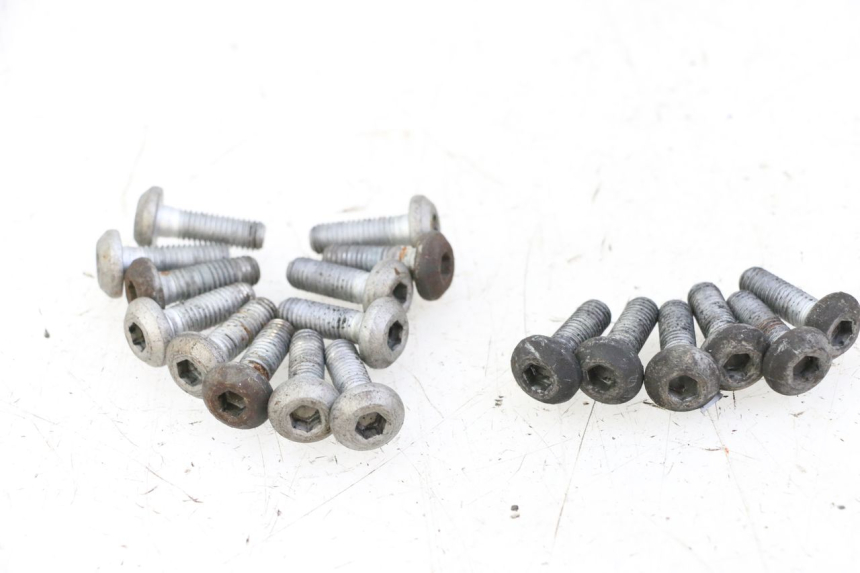 photo de BULLONE DEL DISCO DEL FRENO YAMAHA XJN DIVERSION 600 (2000 - 2003)