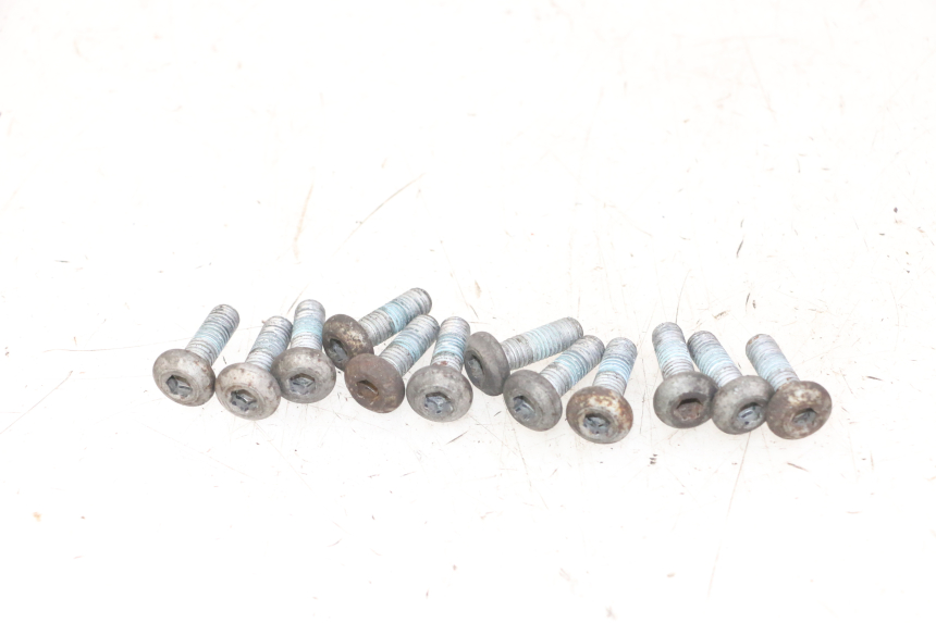 photo de BULLONE DEL DISCO DEL FRENO YAMAHA FZS FAZER 600 (2001 - 2003)