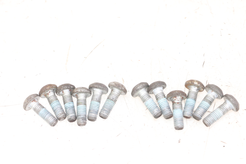 photo de BULLONE DEL DISCO DEL FRENO YAMAHA FZS FAZER 600 (2001 - 2003)